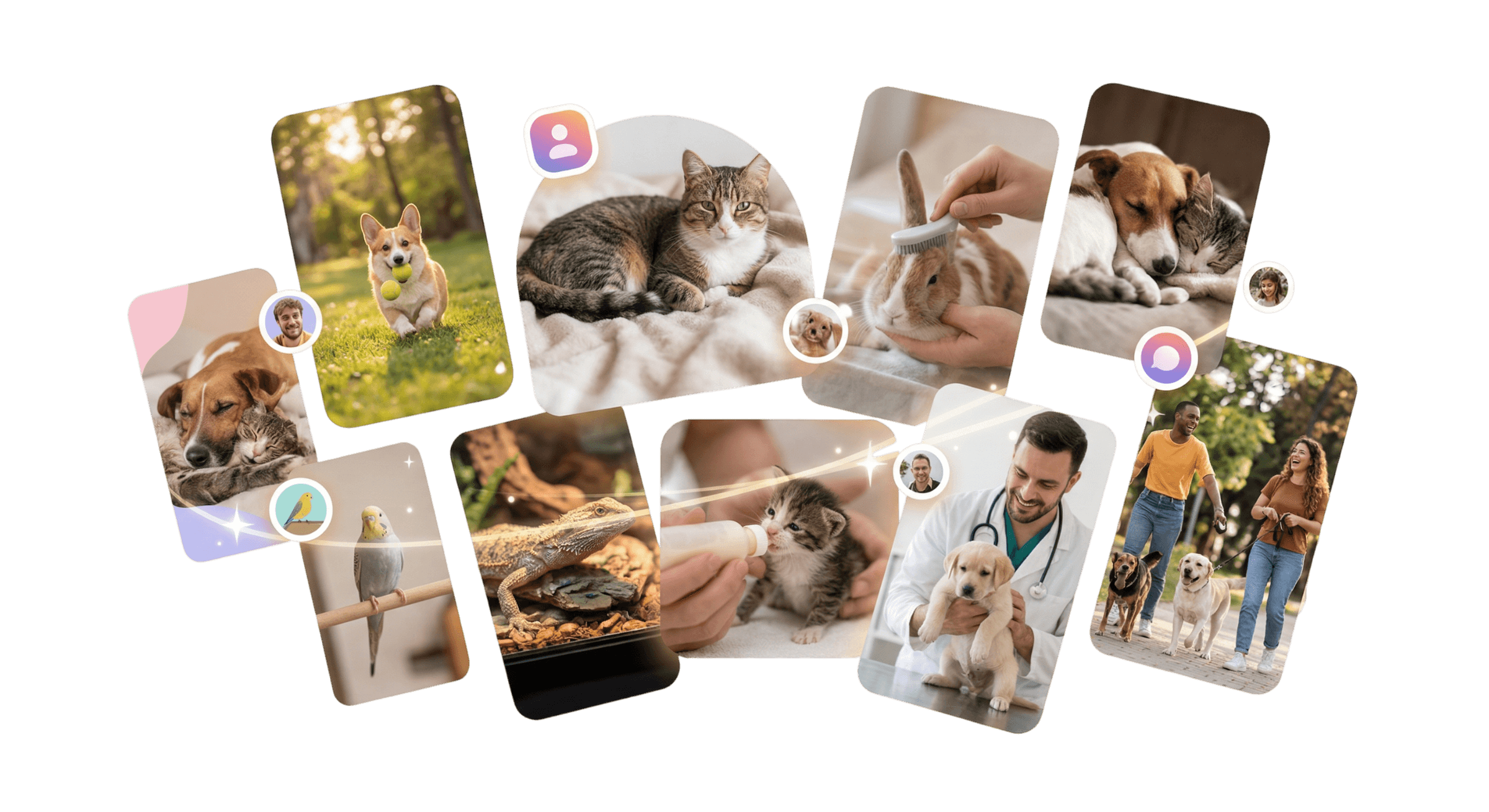 Collage de momentos con mascotas y la comunidad Kodail